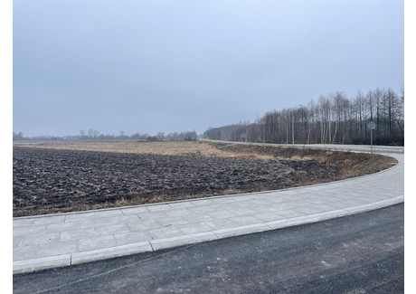 Działka na sprzedaż - Radzymin, Wołomiński, 3824 m², 1 529 600 PLN, NET-22886/78/OGS