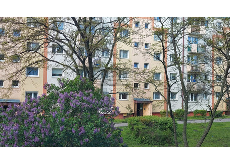 Mieszkanie na sprzedaż - Szwederowo, Bydgoszcz, 47 m², 310 000 PLN, NET-HRZ326270