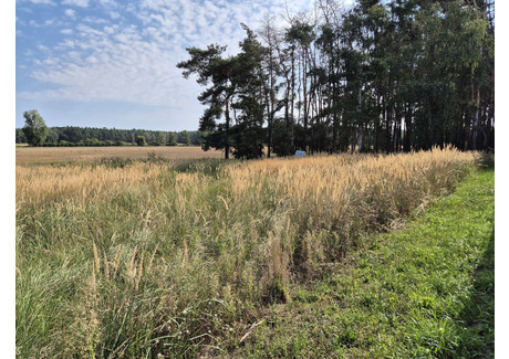 Działka na sprzedaż - Limonkowa Radzyny, Kaźmierz, Szamotulski, 812 m², 199 000 PLN, NET-48/15909/OGS