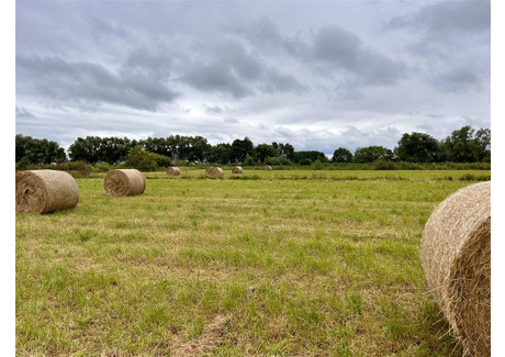 Działka na sprzedaż - Mały Komorsk Nowe, Świecki, 2900 m², 30 000 PLN, NET-FF03334