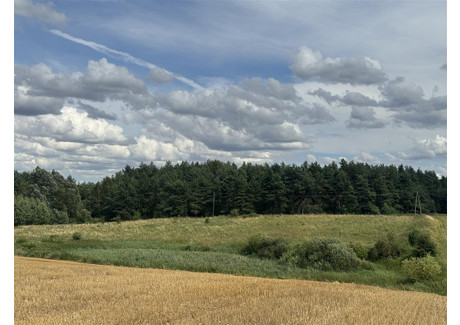 Działka na sprzedaż - Boczna Wielbrandowo, Skócz, Starogardzki, 6100 m², 42 700 PLN, NET-FF03351