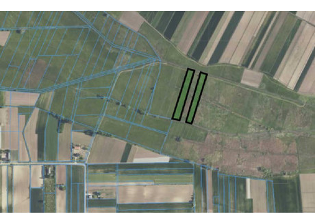 Działka na sprzedaż - Jurków, Wiślica, Buski, 9800 m², 12 000 PLN, NET-INTR-GS-187