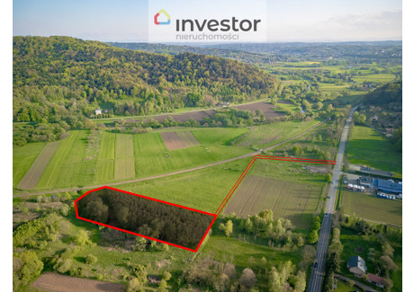 Działka na sprzedaż - Cieszyna, Frysztak, Strzyżowski, 4963 m², 35 000 PLN, NET-4241/9376/OGS