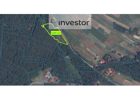 Działka na sprzedaż - Rakszawa, Łańcucki, 6400 m², 384 000 PLN, NET-3961/9376/OGS