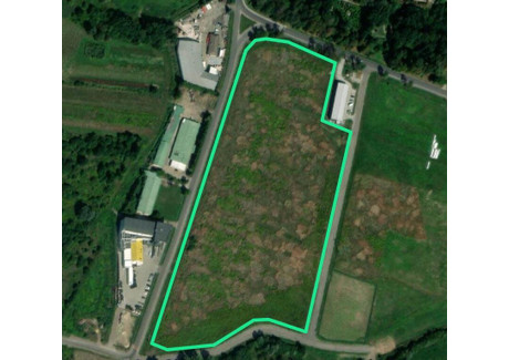 Działka na sprzedaż - Świlcza, Rzeszowski, 51 600 m², 14 964 000 PLN, NET-149/3508/OGS