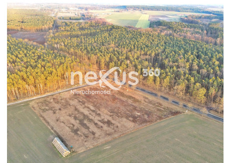 Działka na sprzedaż - Ostrowina, Oleśnica, Oleśnicki, 13 200 m², 1 584 000 PLN, NET-7/17137/OGS