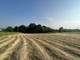 Rolny na sprzedaż - Byszyce, Wieliczka, Wielicki, 5687 m², 979 998 PLN, NET-627/13397/OGS