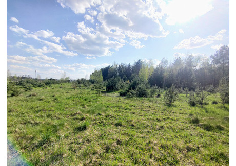 Działka na sprzedaż - Stary Chrząstów, Parzęczew, Zgierski, 3000 m², 150 000 PLN, NET-367/13397/OGS