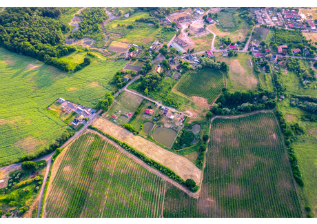 Działka na sprzedaż - Trzcińsko-Zdrój, Gryfiński, 7926 m², 79 260 PLN, NET-389/13397/OGS