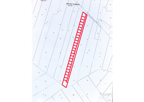 Działka na sprzedaż - Dominikowice, Poddębice, Poddębicki, 19 400 m², 429 000 PLN, NET-817/13397/OGS