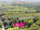 Leśne na sprzedaż - Krzątka, Majdan Królewski, Kolbuszowski, 3600 m², 36 000 PLN, NET-1345/6619/OGS