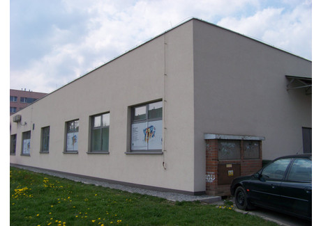 Lokal do wynajęcia - Jana III Sobieskiego Bielawa, Dzierżoniowski (Pow.), 145,25 m², 1889 PLN, NET-641