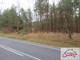 Leśne na sprzedaż - Podlesice, Kroczyce (Gm.), Zawierciański (Pow.), 12 418 m², 60 000 PLN, NET-8420