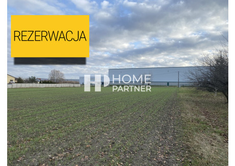 Działka na sprzedaż - Sokołów, Michałowice (gm.), Pruszkowski (pow.), 5000 m², 1 500 000 PLN, NET-152/12821/OGS