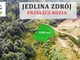 Działka na sprzedaż - Kamieńsk, Jedlina-Zdrój, Wałbrzyski, 1080 m², 159 000 PLN, NET-JN826504
