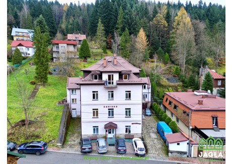 Hotel, pensjonat na sprzedaż - Leśna Jaworzyna, Krynica-Zdrój, Nowosądecki, 1457 m², 2 090 000 PLN, NET-JAG-BS-13527