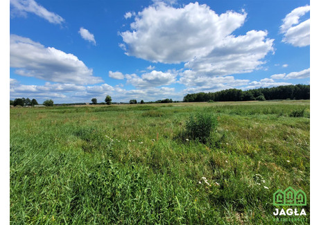 Działka na sprzedaż - Kruszyn Krajeński, Białe Błota, Bydgoski, 1100 m², 105 000 PLN, NET-JAG-GS-14472