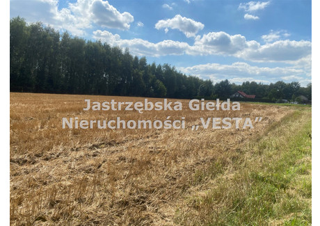 Działka na sprzedaż - Pielgrzymowice, Pawłowice, Pszczyński, 8967 m², 479 000 PLN, NET-VTA-GS-9535