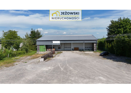 Magazyn, hala do wynajęcia - Wojciechów, Łaziska, Opolski, 661,59 m², 10 000 PLN, NET-3/14329/OOW