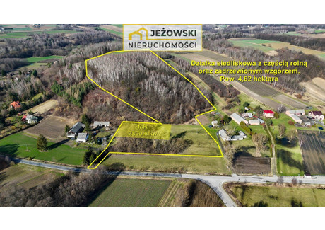 Działka na sprzedaż - Zawada, Wąwolnica, Puławski, 42 300 m², 349 000 PLN, NET-543/14329/OGS