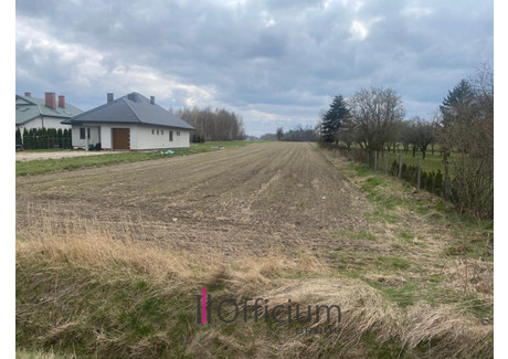 Działka na sprzedaż - Zakrzew, Radomski, 5043 m², 195 000 PLN, NET-OB389137809