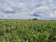 Rolny na sprzedaż - Brzeski, 520 000 m², 3 900 000 PLN, NET-125/2261/OGS