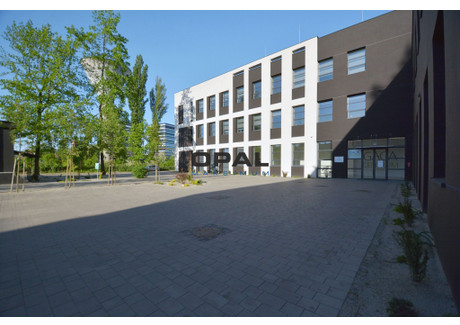 Biuro do wynajęcia - Baildona Johna Katowice, 700 m², 27 300 PLN, NET-18247349