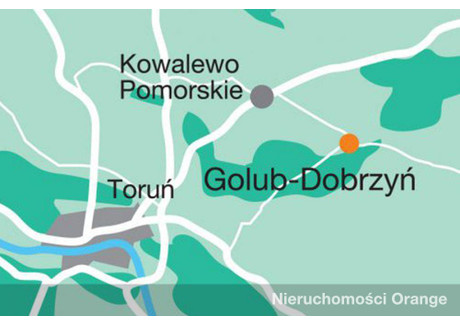 Biuro na sprzedaż - ul. Młyńska 1 - Golub-Dobrzyń, 364 m², 200 000 PLN, NET-T08090