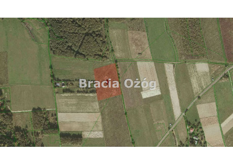 Działka na sprzedaż - Straszydle, Lubenia, Rzeszowski, 7600 m², 208 999 PLN, NET-BRO-GS-1995