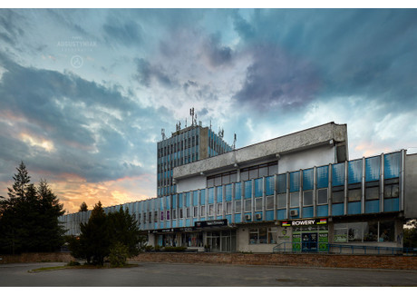 Magazyn, hala do wynajęcia - Warszawska Pabianice, Pabianicki (Pow.), 1200 m², 18 600 PLN, NET-5678ijh