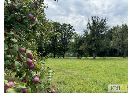 Działka na sprzedaż - Buchcice, Tuchów, Tarnowski, 8500 m², 139 900 PLN, NET-160/LTN/DZS-650