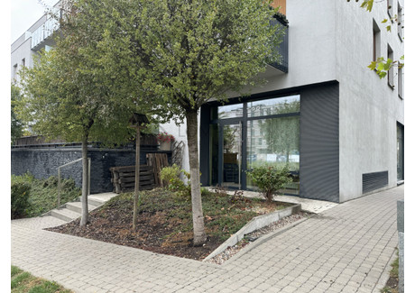 Lokal do wynajęcia - Kazachska Wilanów Błonia Wilanowskie, Wilanów, Warszawa, 70,38 m², 6300 PLN, NET-297617