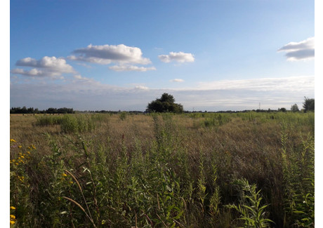 Działka na sprzedaż - Bobrowiecka Władysławów, Lesznowola, Piaseczyński, 1500 m², 400 000 PLN, NET-LSW-GS-186