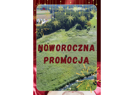 Działka na sprzedaż - Konotop, Kolsko, Nowosolski, 41 445 m², 3 000 000 PLN, NET-LDK155858