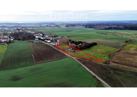 Działka na sprzedaż - Frednowy, Iława, Iławski, 10 044 m², 215 000 PLN, NET-9216/3685/OGS