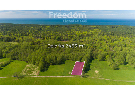 Działka na sprzedaż - Wiejska Krynica Morska, Nowodworski, 2465 m², 517 000 PLN, NET-3249/3685/OGS