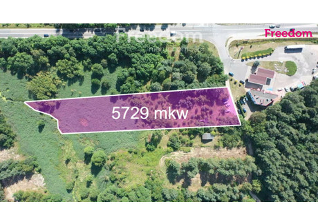 Działka na sprzedaż - Goździków Częstochowa, 5729 m², 750 000 PLN, NET-8317/3685/OGS