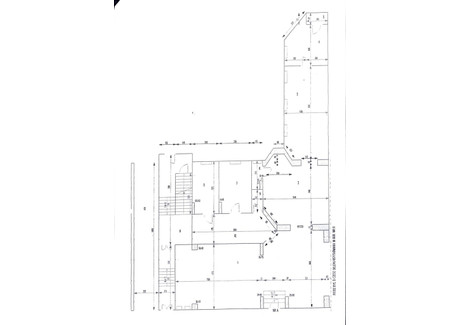 Lokal do wynajęcia - Centrum, Opole, 330 m², 16 500 PLN, NET-1942/3685/OLW