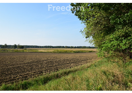 Działka na sprzedaż - Niemodlin, Opolski, 1700 m², 149 000 PLN, NET-9269/3685/OGS