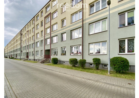 Mieszkanie do wynajęcia - Słoneczników Osada Jana, Tarnowskie Góry, Tarnogórski, 29 m², 1250 PLN, NET-6121/3685/OMW