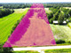 Rolny na sprzedaż - Maksymilianów, Korytnica, Węgrowski, 36 900 m², 495 000 PLN, NET-7962/3685/OGS
