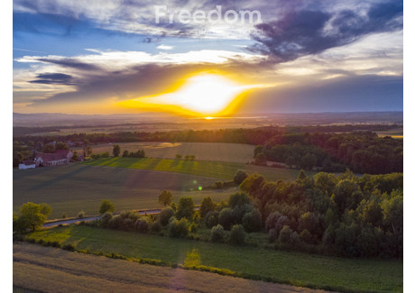 Działka na sprzedaż - Nadziejów, Otmuchów, Nyski, 5130 m², 300 000 PLN, NET-8040/3685/OGS