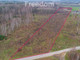 Działka na sprzedaż - Brzozowa Many, Tarczyn, Piaseczyński, 15 400 m², 419 000 PLN, NET-9234/3685/OGS