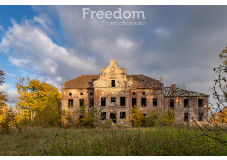 Obiekt na sprzedaż - Januszewo, Susz, Iławski, 216 628 m², 4 900 000 PLN, NET-815/3685/OOS