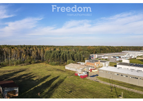 Działka do wynajęcia - Pod Borem Głogów Małopolski, Rzeszowski, 10 000 m², 30 000 PLN, NET-23/3685/OGW