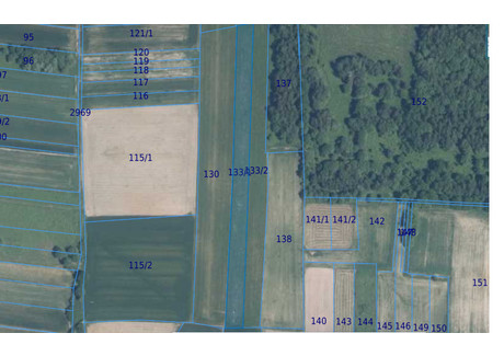 Działka na sprzedaż - Skała, Krakowski, 3700 m², 80 000 PLN, NET-235/5595/OGS