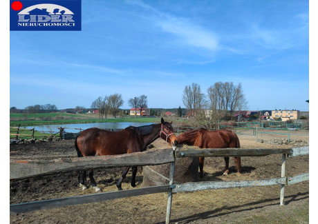 Ośrodek wypoczynkowy na sprzedaż - Rusinowo, Tuczno, Wałecki, 3800 m², 3 000 000 PLN, NET-317670212