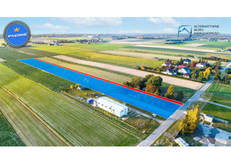 Działka na sprzedaż - Rudka Kozłowiecka, Niemce, Lubelski, 10 000 m², 399 000 PLN, NET-LER-GS-3006