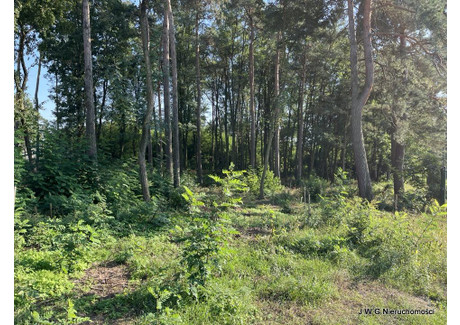 Działka na sprzedaż - Leśna Obrowo, Obrowo (gm.), Toruński (pow.), 1000 m², 80 000 PLN, NET-564