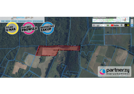 Działka na sprzedaż - Borzynowo, Pasłęk, Elbląski, 40 000 m², 349 000 PLN, NET-PAN342890